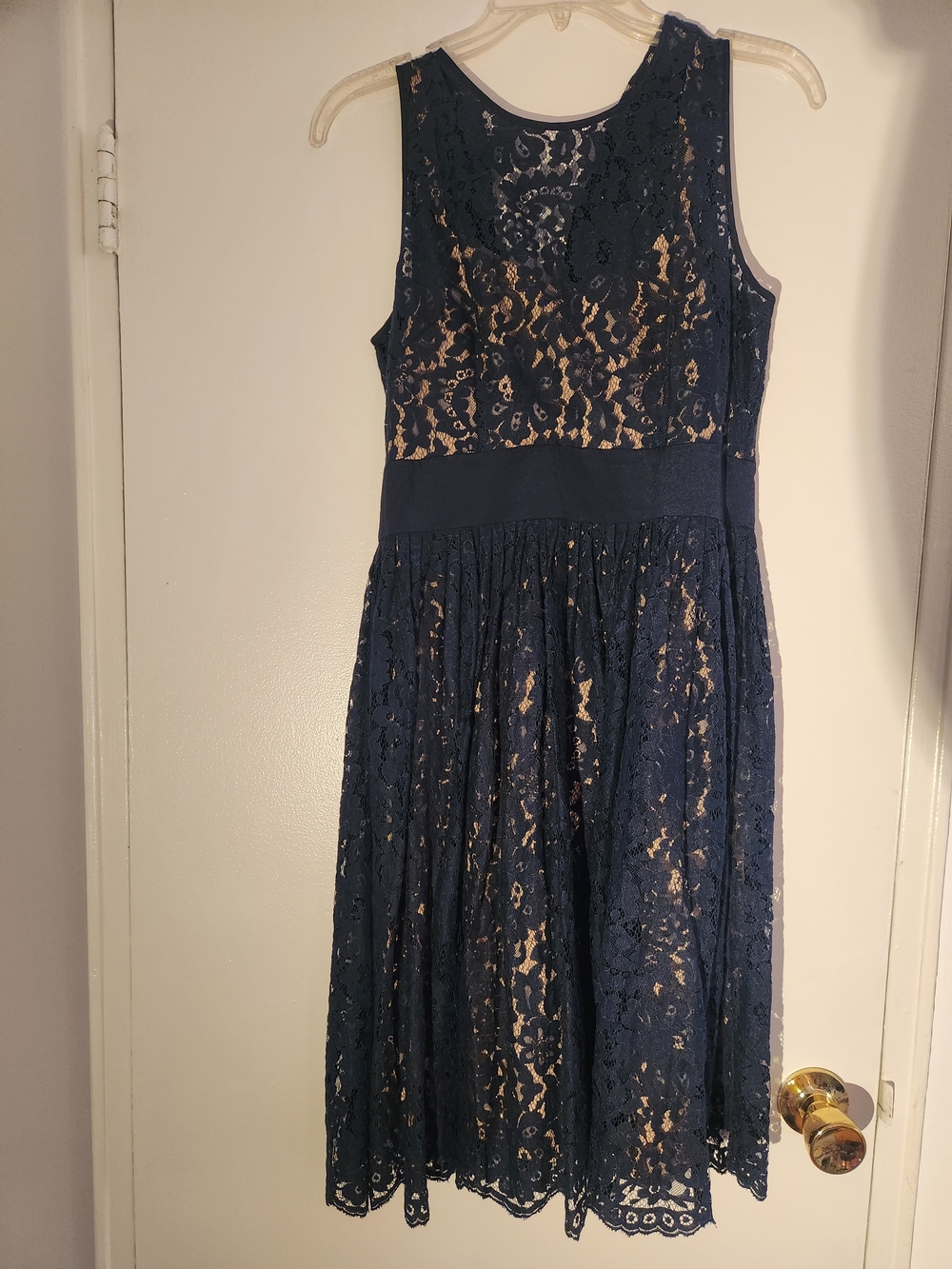 Eliza J Navy Lace Dress with Nude Lining